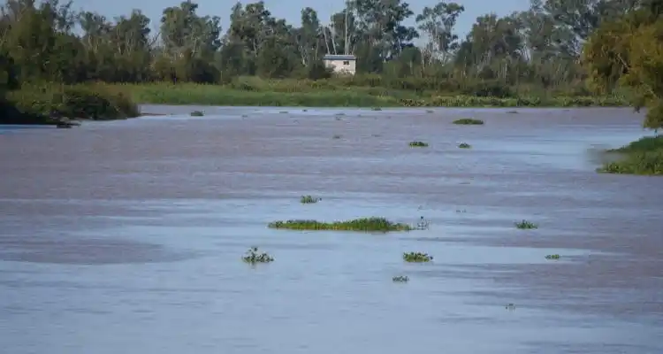 Bajante del río Paraná: Creció y superó el metro después de una semana con marcas en cero