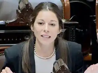 La diputada Ballejos consideró que el proyecto aprobado “aleja” la solución