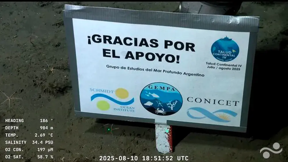 “Gracias por el apoyo”: el cartel de los científicos del Conicet en el fondo del mar que emocionó a todos