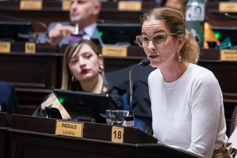 La iniciativa fue impulsada por la diputada del Frente Renovador Luciana Padulo.