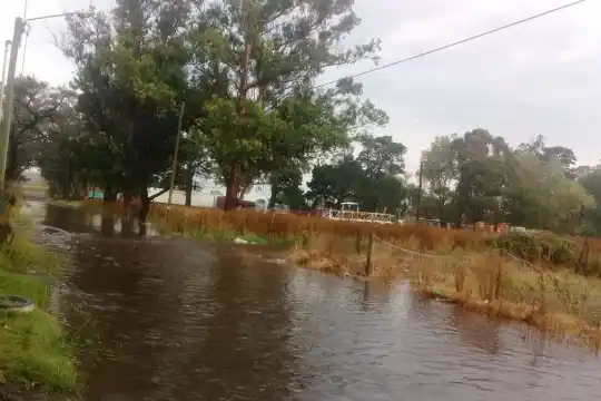 Zonas anegadas, árboles caídos y barrios sin luz por temporal en Mar del Plata