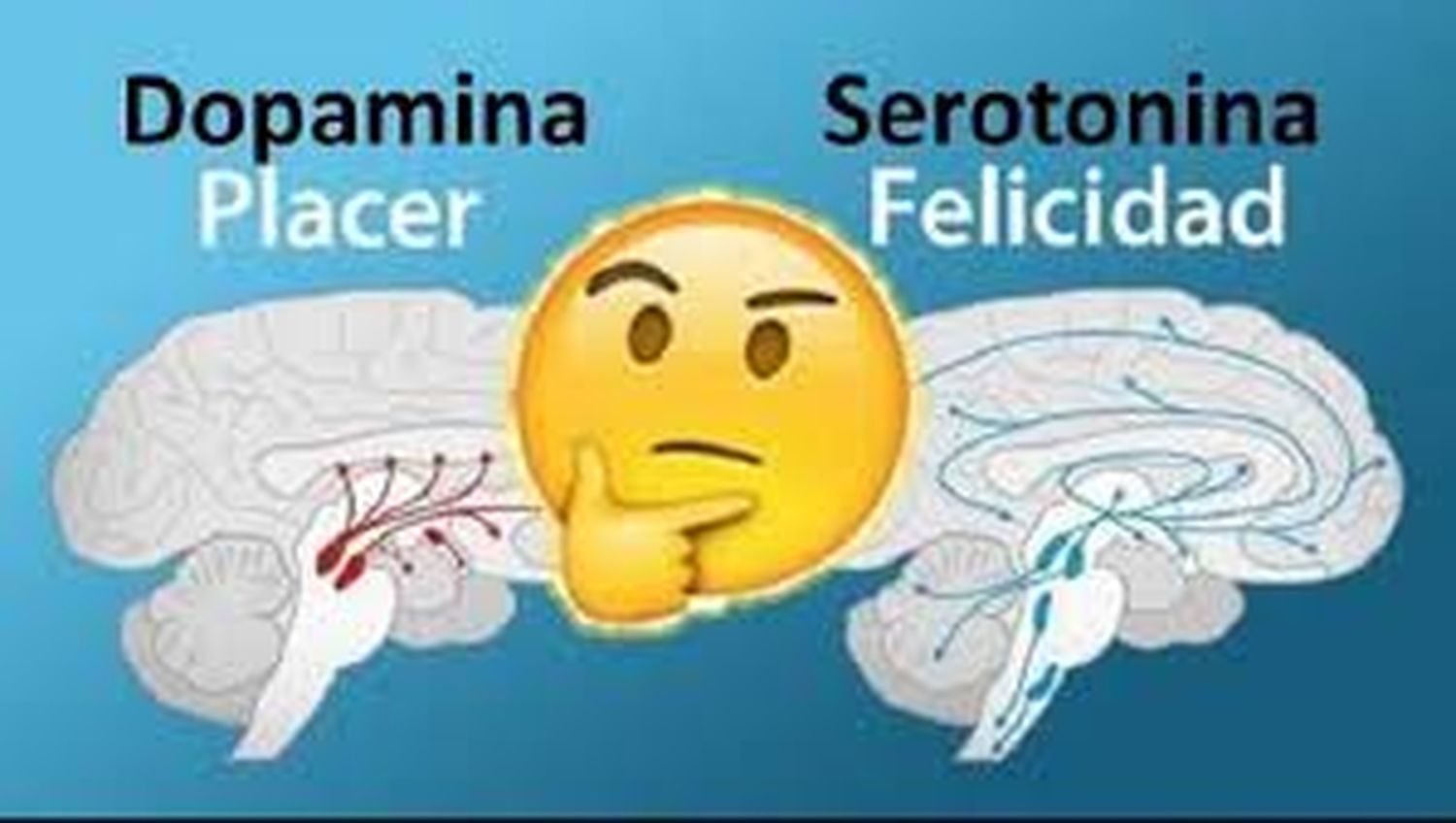 Serotonina versus dopamina