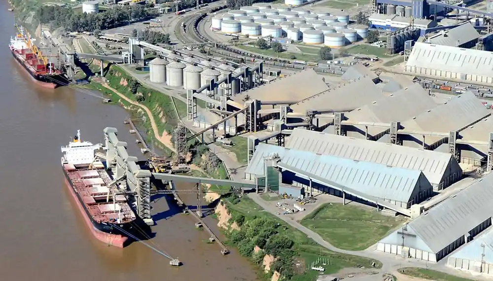 Sigue el paro de aceiteros y recibidores de granos: Preocupación en sector agroindustrial