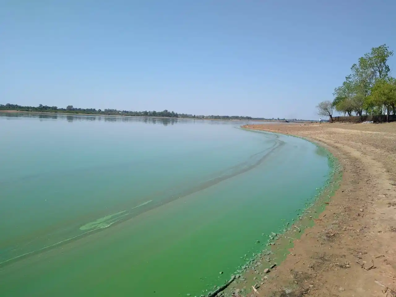 La CARU publicó los resultados del Programa de Vigilancia de Playas