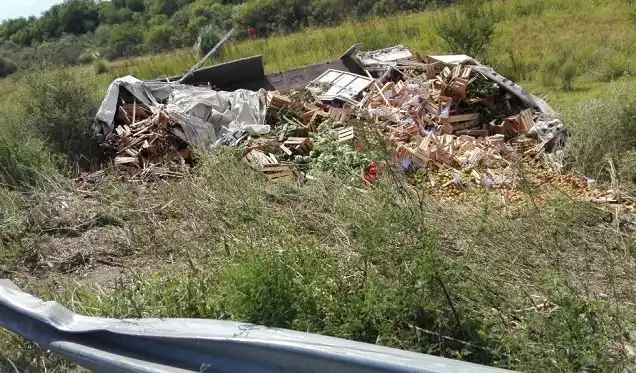 Una camioneta y un camión volcaron en la Autovía Artigas 