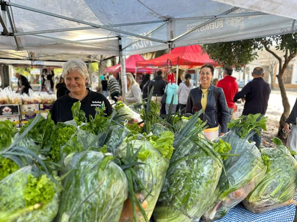 Continúa el Circuito de Ahorro Brown en junio con más productos de calidad a precios accesibles
