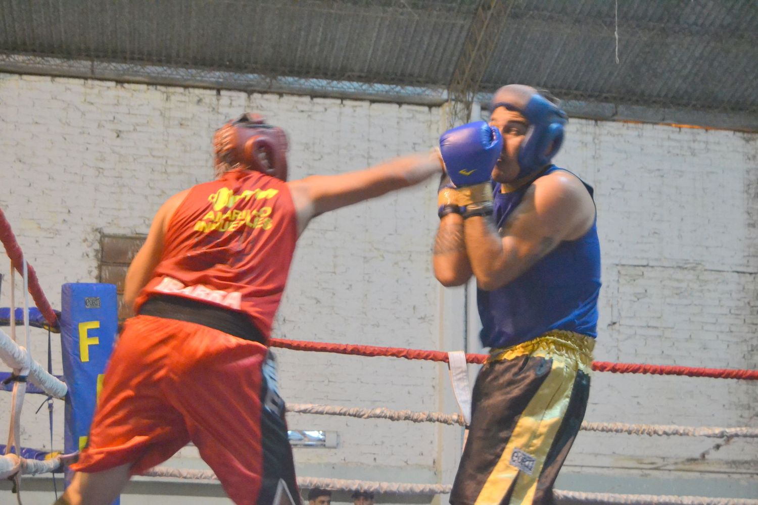 En la gráfica vemos uno de los mejores golpes aplicados a lo largo del combate de Nico Ibarra a Carlos Molina. A ninguno de los dos conformó el fallo de empate.