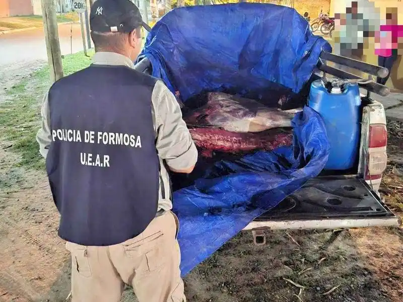 Esclarecieron un hecho de abigeato