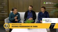 Se viene la semana de la miel