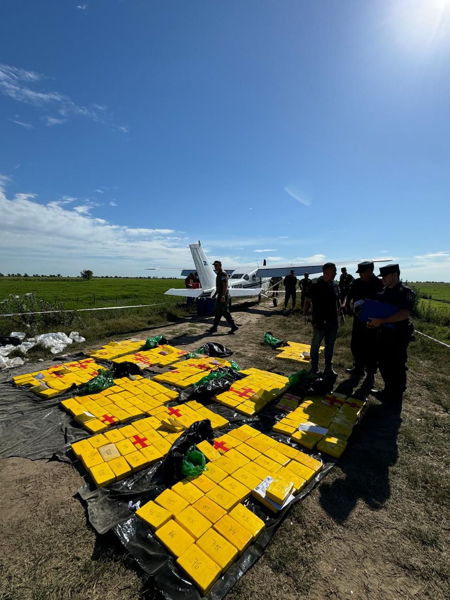 Avanza la investigación de la avioneta que aterrizó con 359 kilos de cocaína en un campo en Ibicuy