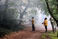 El fuego avanza sobre pastizales y amenaza a viviendas de La Movediza