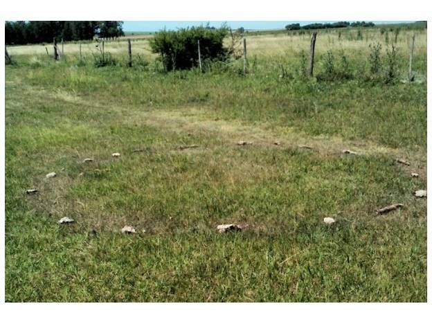 Visión Ovni investiga un extraño círculo hallado en Rincón de Nogoyá