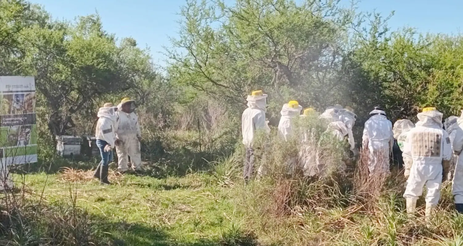 Con capacitación, apicultores entrerrianos mejoran su eficiencia productiva