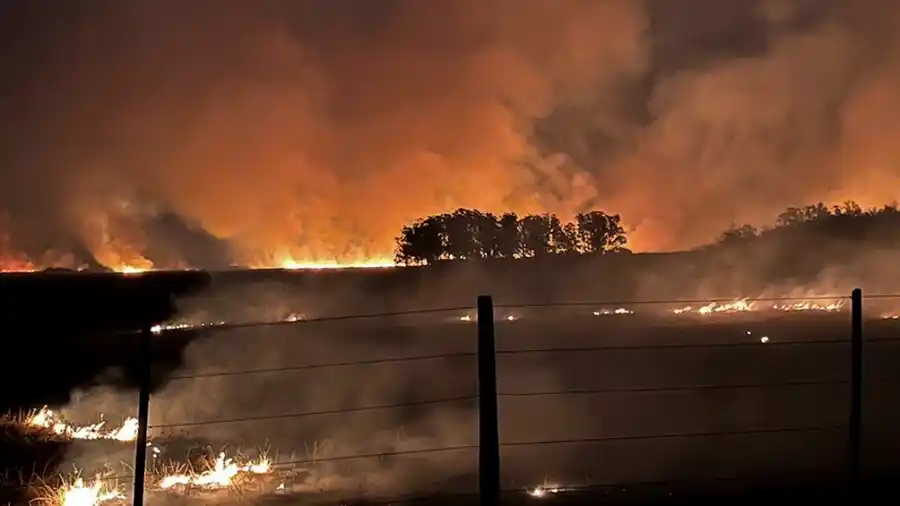 Informe del INTA: el fuego arrasó 934.238 hectáreas en Corrientes