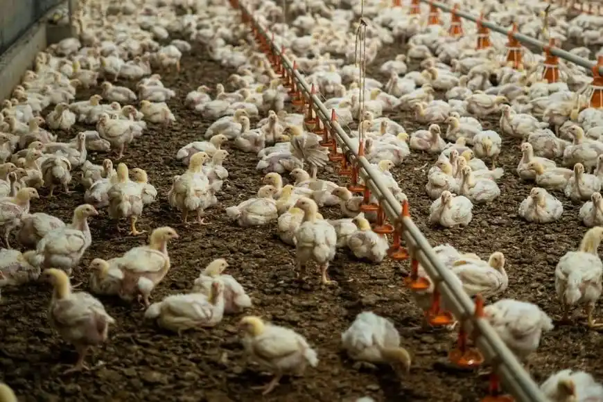 Después de varios meses con resultados positivos, el sector pasó de verde a amarillo.