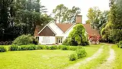 Primera edición de Paseo con arte, diseño y bienestar para toda la familia