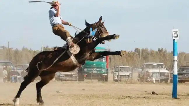 Villegas: Qué dice la ordenanza aprobada que regula jineteadas y destrezas gauchas
