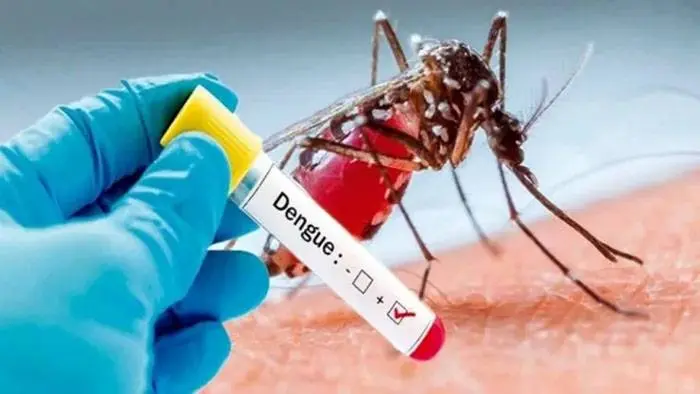 El Ministerio de Salud registró 8 mil nuevos casos de dengue en 13 provincias