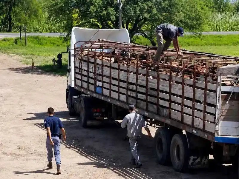 La Policía fiscaliza el traslado de hacienda en 
el territorio provincial para prevenir el abigeato