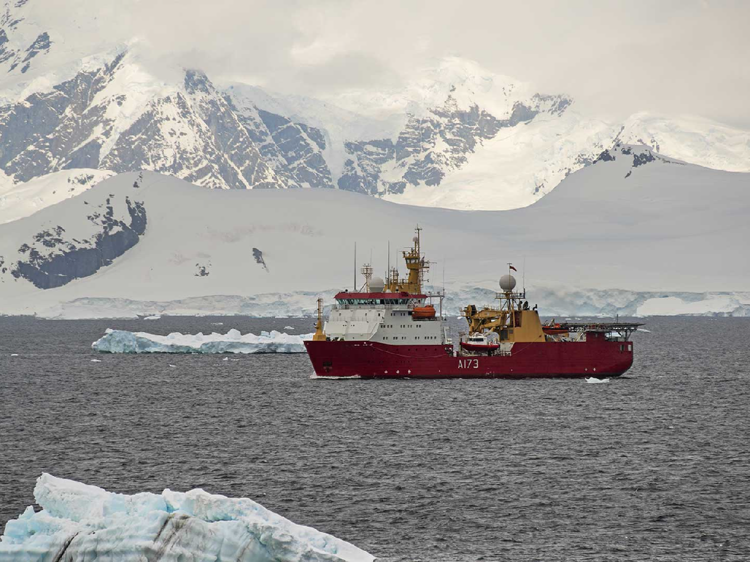 Cancillería denunció que pesqueros ingleses operan "ilegalmente" cerca de las islas Georgias del Sur