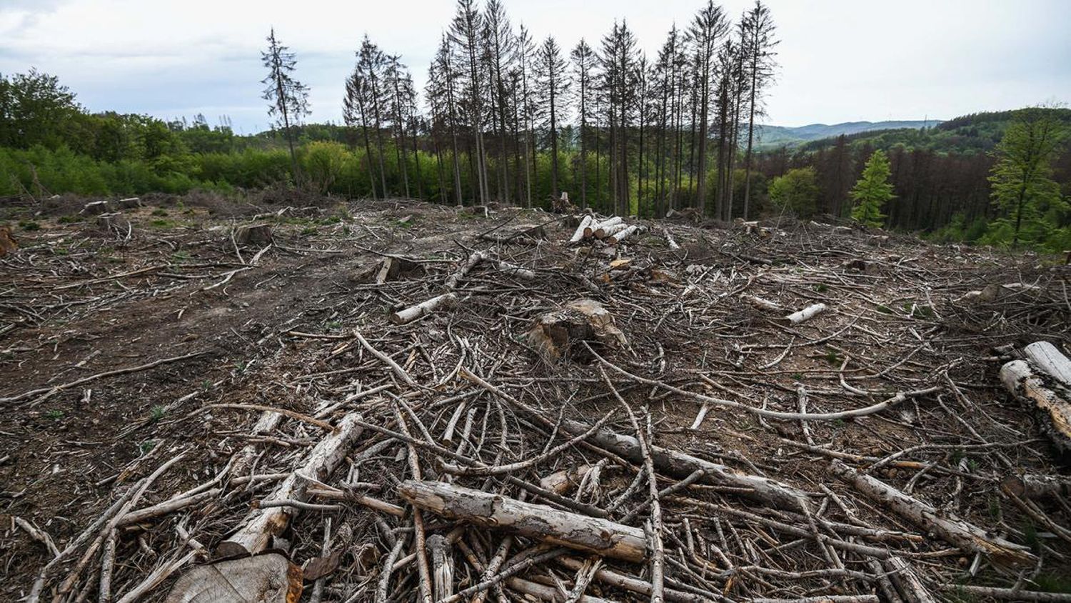 Llevan a la justicia a 32 Estados europeos  por su inacción frente al cambio climático