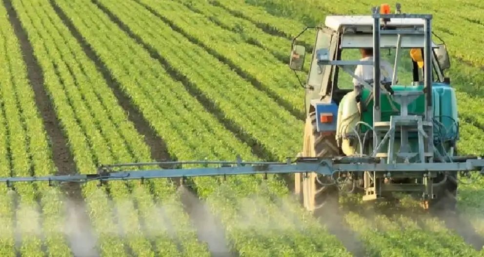 Bunge dejará de producir compuestos químicos - 1