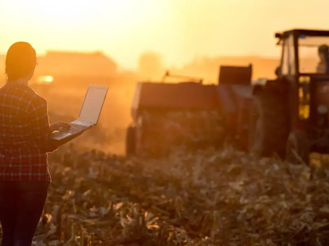 El Banco Nación consolida su liderazgo en el financiamiento al agro, con una cartera agropecuaria de $4,5 billones y crecimiento récord