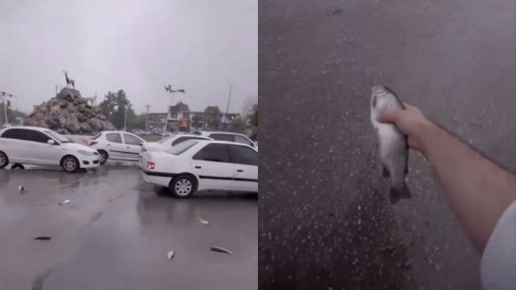 ¡RARO FENÓMENO! Volvió a registrarse LLUVIA DE PECES, ¿por qué ocurre? (+VIDEO)