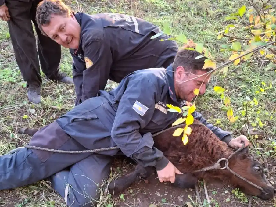 Crédito: Bomberos de Venado Tuerto.