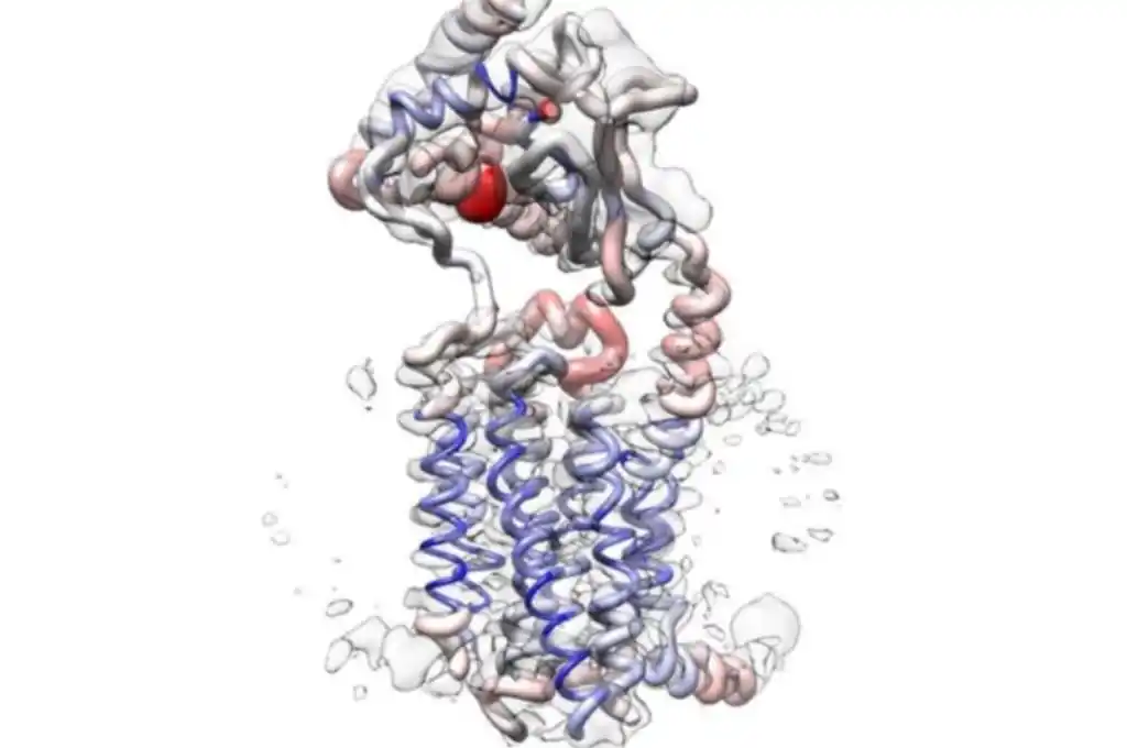 Migraña: los científicos mapean los factores desencadenantes clave por primera