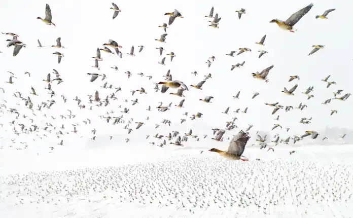 Fotos desde drones