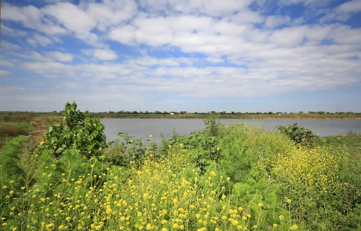 Limpiarán la Reserva Natural Urbana del Oeste