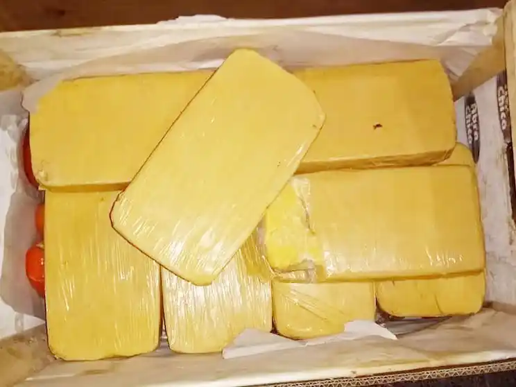 Reemplazaron la cocaína que iba a ser quemada por un ácido que vale $10 mil el kilo