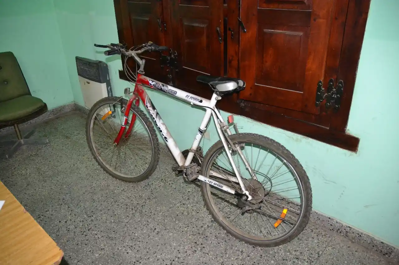 Lo detuvieron por querer vender en la calle una bicicleta robada a $100