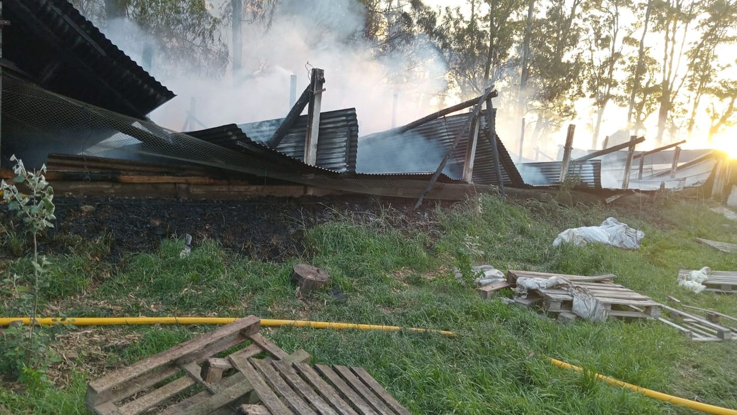 Se incendió una granja y se quemaron tres mil pollos