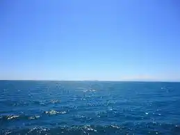 Tunante II: Familiares argumentan por qué los siguen buscando