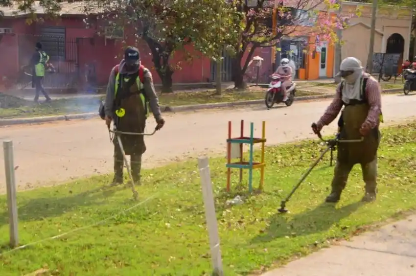 Profundizan el plan de desmalezado, poda y jardinería en plazas, paseos y avenidas