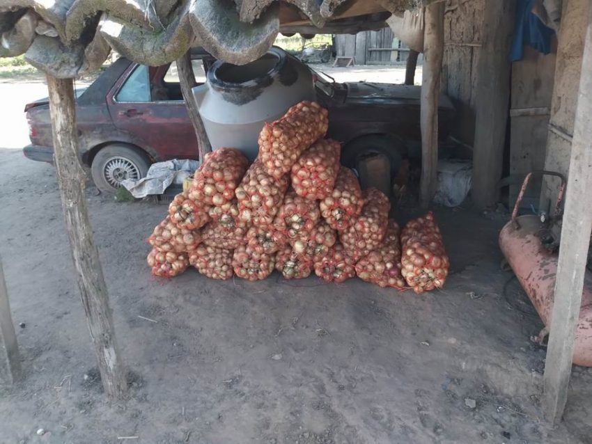 Salieron más de 10.000 kilos de cebollas de la zona Pirané Sur