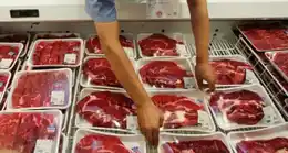 Evolución del precio de la carne vacuna 2023/25