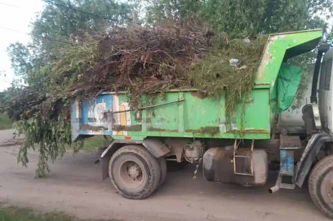 Personal del área de Higiene Urbana se encuentra trabajando en distintos puntos de la ciudad 