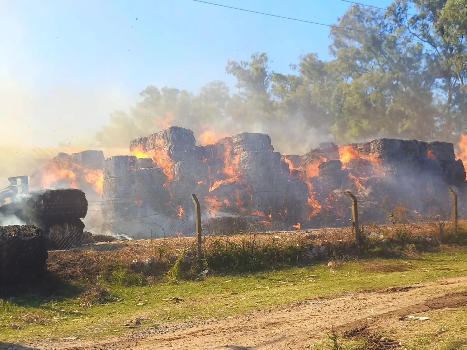 Incendio Celulosa SP