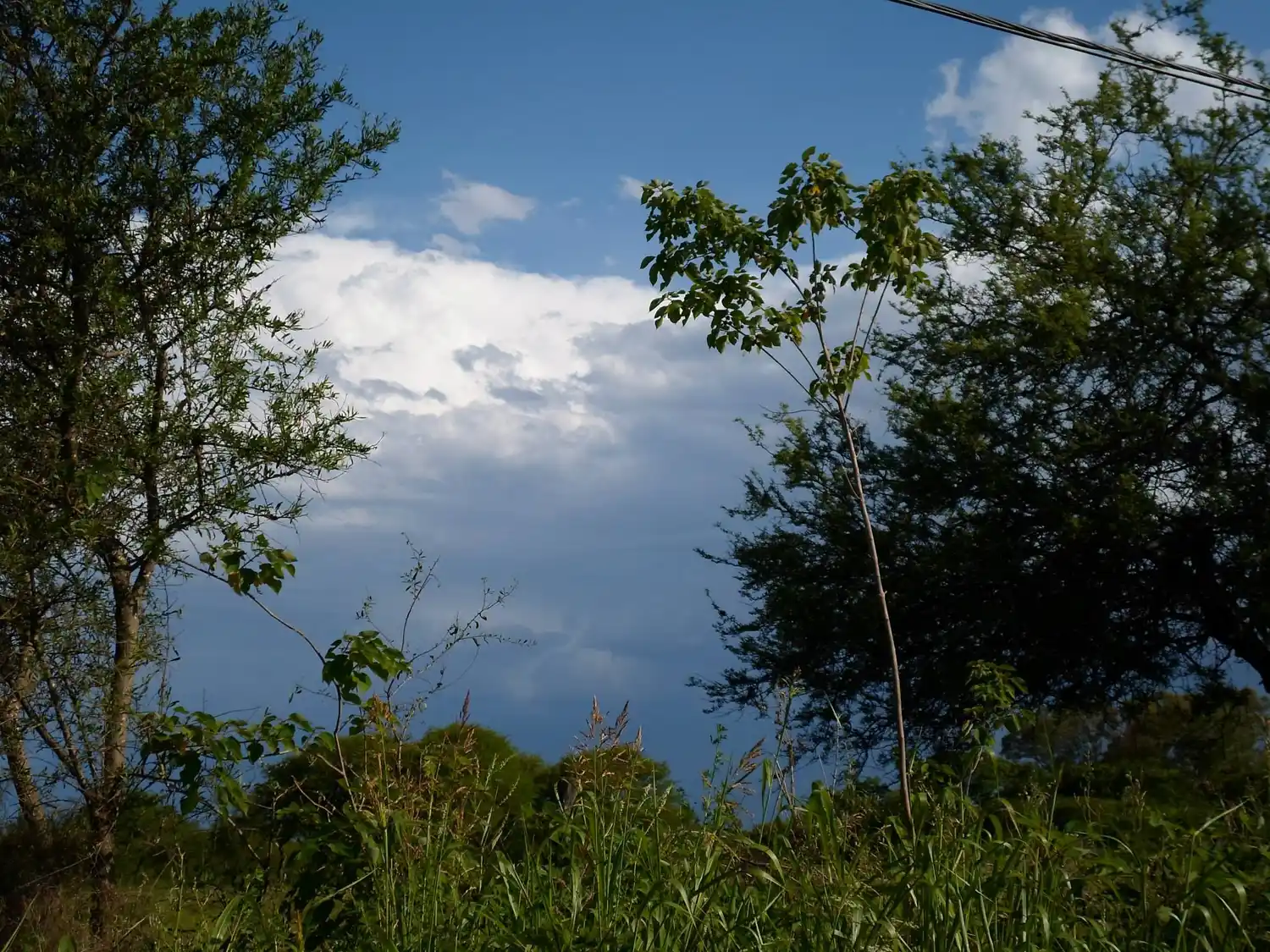 “Más que lluvias, fueron lloviznas"