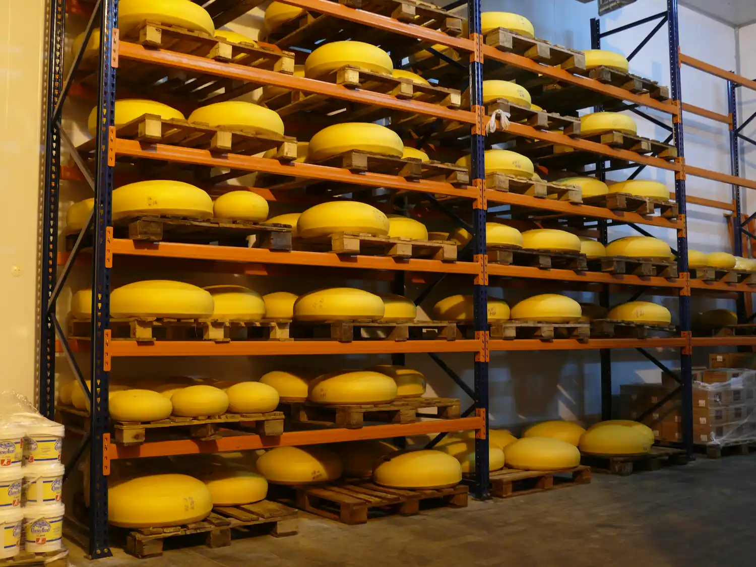 Primer trimestre con aporte moderado