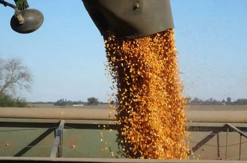 Otra empresa corredora de granos de la región se declaró en cesación de pagos