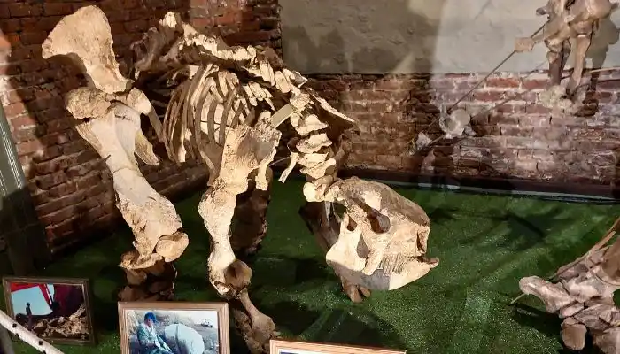 Los hallazgos del Museo Paleontológico y una recorrida inolvidable. Para los que lo visitan pro primera vez o para los que no vieron las últimas incorporaciones.