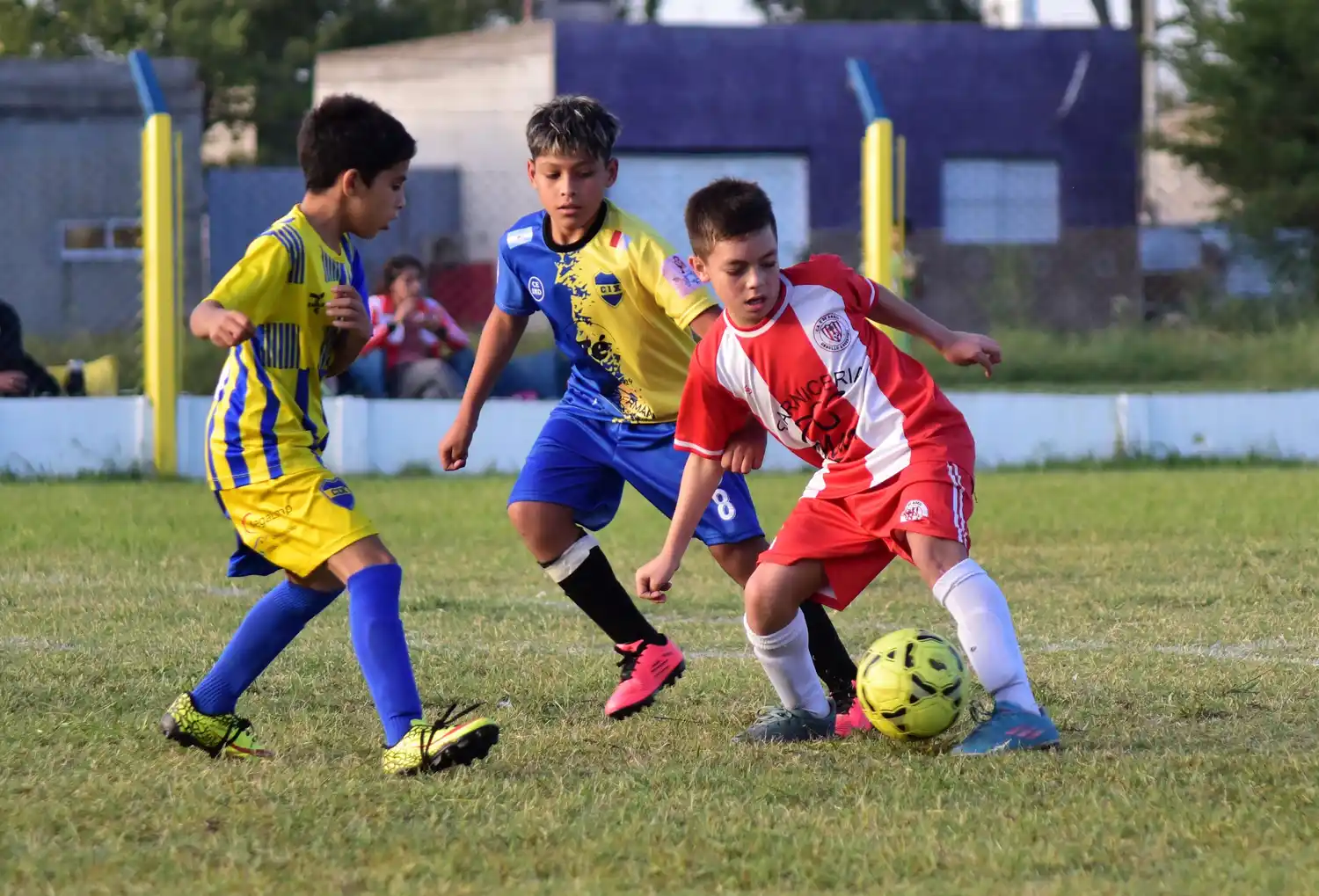 Baby Fútbol: así se juega la 11° fecha