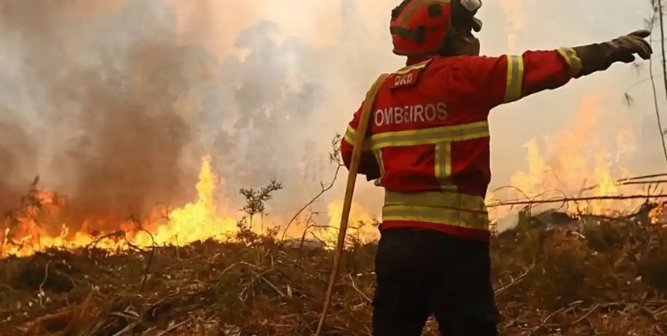 Los incendios forestales pueden empeorar durante la actual ola de calor.