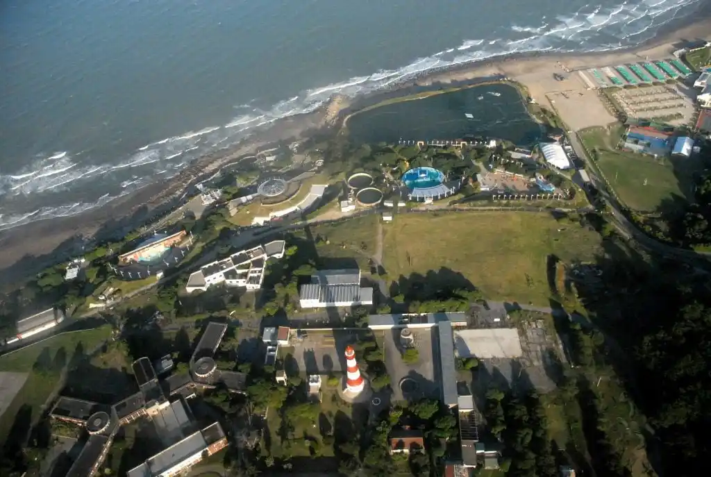 El establecimiento aseguró que está todo en orden con los delfines