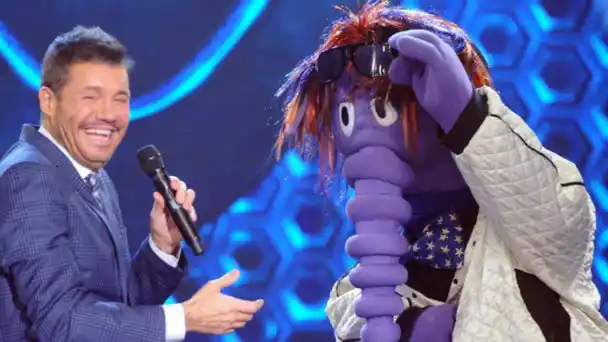 Oso Arturo y la nueva vida en las playas de Miami