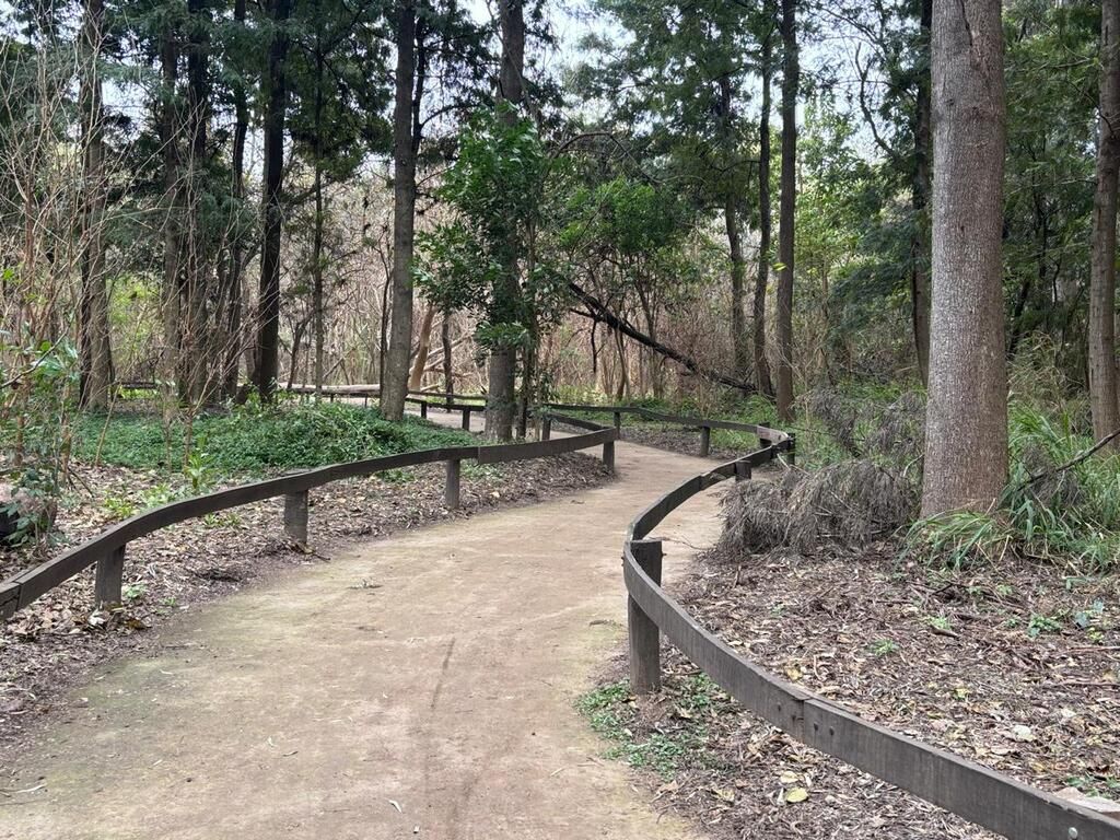 Bosquecito Besaccia: mantenimiento constante para preservar un espacio de encuentro natural